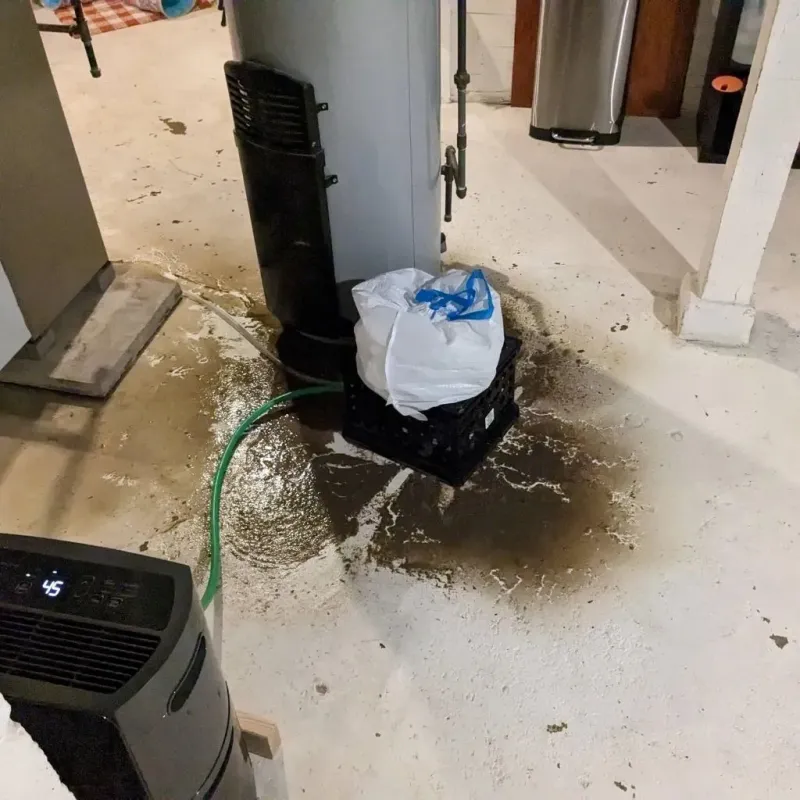 Sewage Backup Cleanup Service in Vandenberg Air Force Base, CA